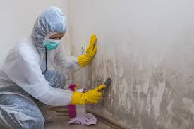 Mold Remediation for Vacation Homes